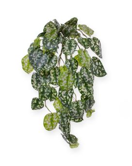Planta colgante artificial Scindapsus Pictus 70 cm deluxe