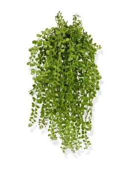 Planta trepadora artificial Dischidia 40 cm UV