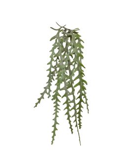Epiphyllum Planta Artificial de Pared 60cm