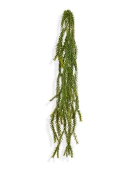 Espárrago artificial Cola de zorro planta trepadora 60 cm verde