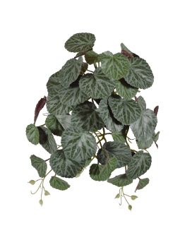 Saxifraga colgante verde/roja 45cm