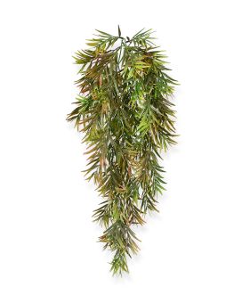 Espárrago artificial Spengeri planta trepadora 60 cm