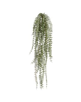 Colgante Dischidia gris/verde 70cm