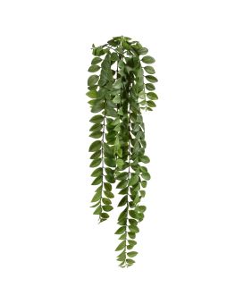 Algarrobo Planta colgante 90cm verde