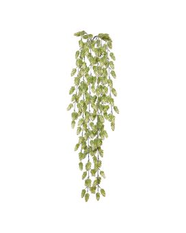 Lúpulo Planta Artificial de Pared 80cm