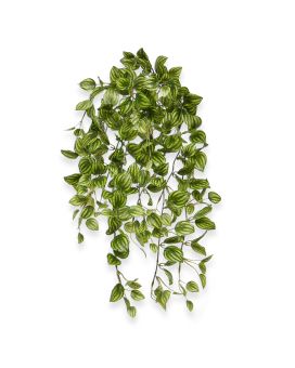 Peperomia Planta colgante artificial variegada 50cm