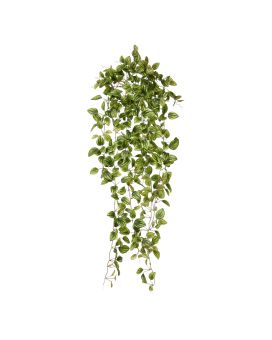 Peperomia Planta colgante artificial variegada 90cm