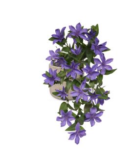 Clematis planta colgante artificial 60cm Azul