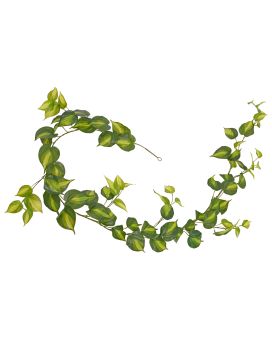 Guirnalda artificial Philodendron Scandens Brasil 180cm