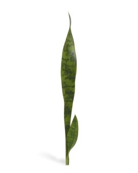 Ramo de Sanseveria artificial 60 cm