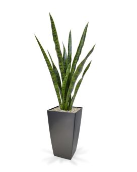 Sansevieria planta artificial 78 cm