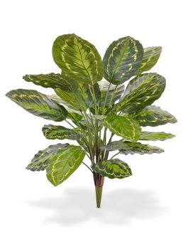 Calathea Roseopicta planta artificial ramo 65 cm