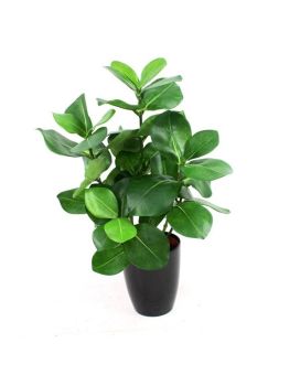 Clusia planta artificial 40cm en maceta 10cm
