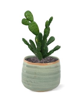 Mini ramo de cactus 20 cm