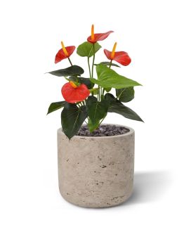 Anthurium planta artificial 40cm - rojo