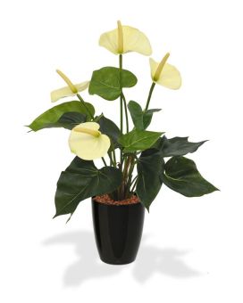 Anthurium planta artificial 40cm - crema en maceta de 10cm