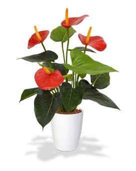 Anthurium planta artificial 40cm - rojo en maceta de 10cm