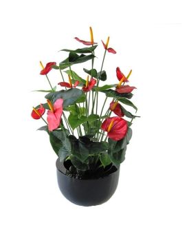 Anthurium deluxe planta artificial 80cm - rojo