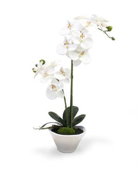Orquídea Phalaenopsis planta artificial 50cm x2 en cuenco