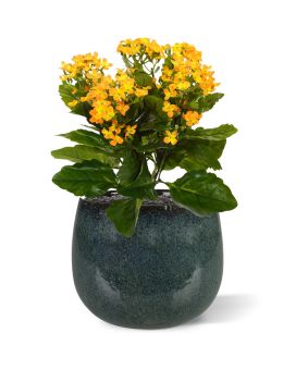 Kalanchoe planta artificial 30cm - naranja