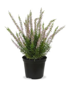 Planta artificial Erica Heather 30cm rosa