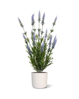 Ramo de lavanda artificial 50 cm UV azul