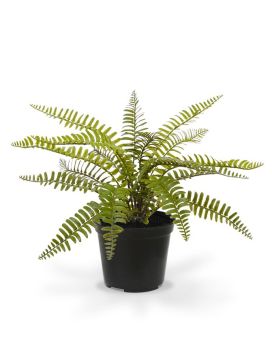 Planta artificial Asplenium Fern 35cm