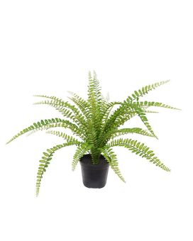 Planta artificial Asplenium Fern 45cm