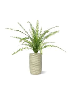 Asplenium Helecho planta artificial 75 cm en maceta de 12 cm