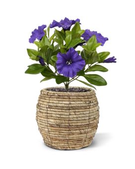 Ramo de petunias artificiales 25 cm violeta