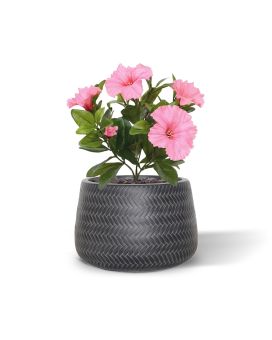 Ramo de petunias artificiales 25 cm rosa