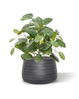 Planta Fittonia artificial 40 cm Varigada (arbusto)