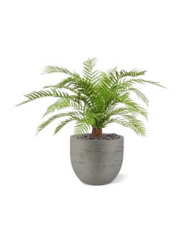 Alsophillia Helecho planta artificial XXL 80cm - Resistente a los UV