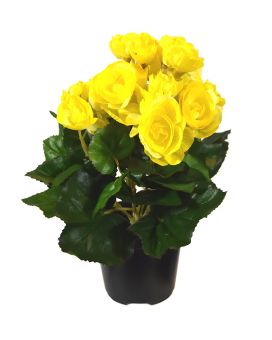Begonia planta artificial en maceta 20cm - amarillo