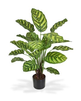 Calathea Makoyana planta artificial 60cm