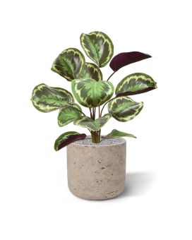 Arbusto artificial Calathea Ornata 45 cm