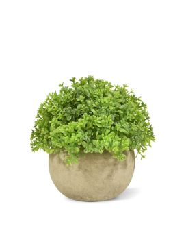Mini Buxus planta artificial en maceta 14cm - verde