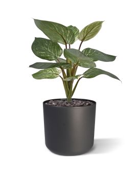 Planta artificial Philodendron Birkin 30cm