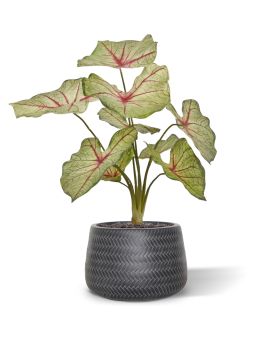 Caladium artificial ramo reina blanca 40cm