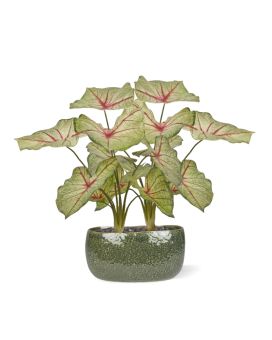 Caladium artificial planta reina blanca 45cm