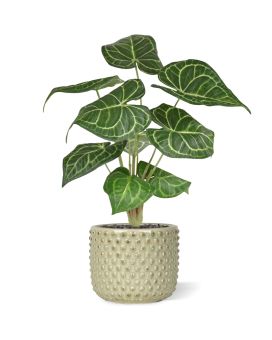 Anthurium Clarinervium planta artificial 35cm