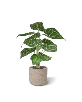 Anthurium Clarinervium planta artificial 35cm en maceta