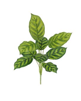 Planta Artificial Calathea Maranta 40cm