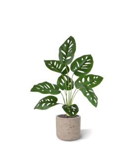 Monstera Adonsonii planta artificial 40cm en maceta