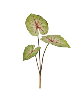 Caladium White Queen Planta Artificial 60cm