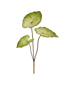 Caladium Aaron Planta Artificial 60cm