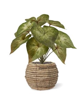 Syngonium Podophyllum Planta Artificial 28cm