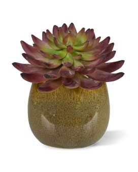 Cactus Artificial Echeveria Borgoña 15cm
