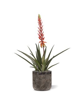 Aloe Vera Planta artificial 75cm rojo