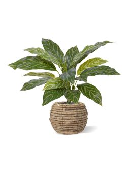 Aglaonema 40cm planta artificial RT